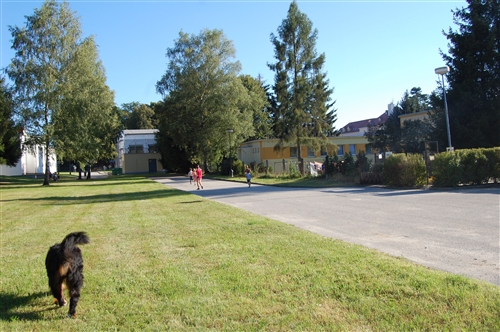 Obrázek v galerii